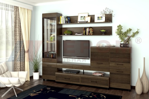 Гостиная-Стенка Камелия №5 (В-2172 х Ш-2700 х Г-452 мм)